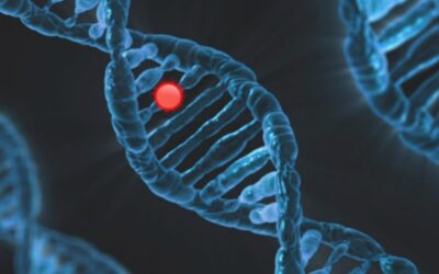 HPC untuk Proses Simulasi Dinamika Molekul